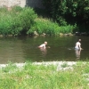 2012-05-26-12-43-05